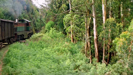 a scenic train winds its way through dense jungle and rolling hills on the famous ella to kandy route in sri lanka.