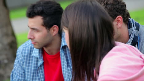 Serious-students-having-a-discussion-on-the-grass