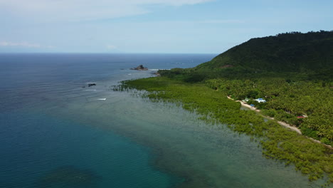 árboles de mangle distintivos que cubren parte del océano azul, baler, filipinas
