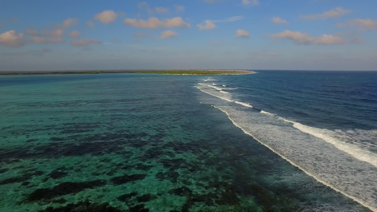 la laguna y los manglares de lac bay en bonaire, antillas holandesas