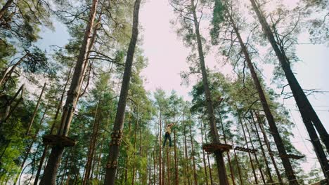 low-angle pov of a girl walking on a rope bridge between wooden platforms in tall pine trees during summer