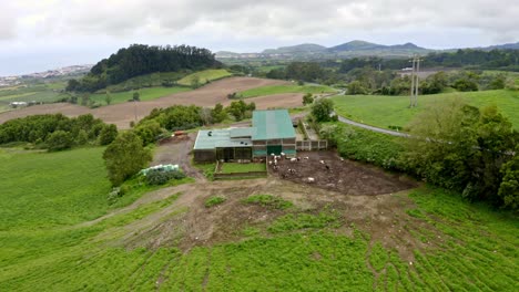 Blechschuppen-Mit-Kuhstall-In-Der-Azorenlandschaft,-Luftzoom