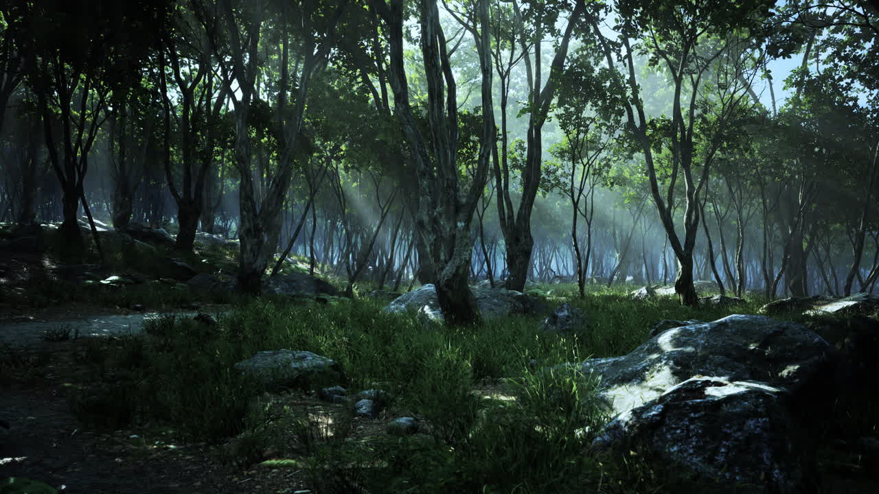 espeluznante magia mística profundo bosque