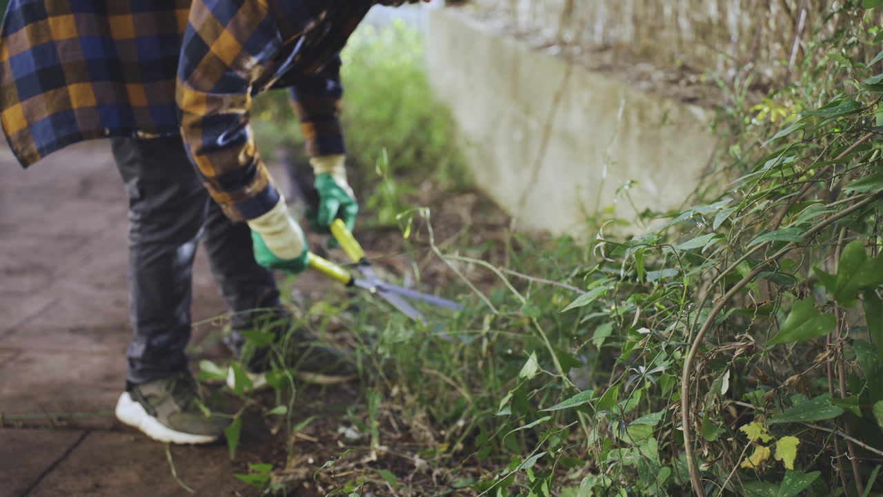 jardinería en el hogar: joven macho que cuida de las plantas cortando con tijeras profesionales el árbol en su propio jardín