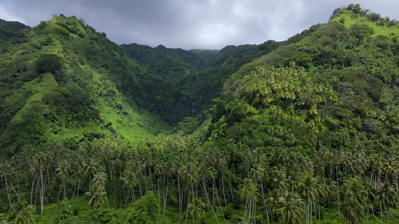 Aerial View of Lush Tropical Landscape with Waterfall