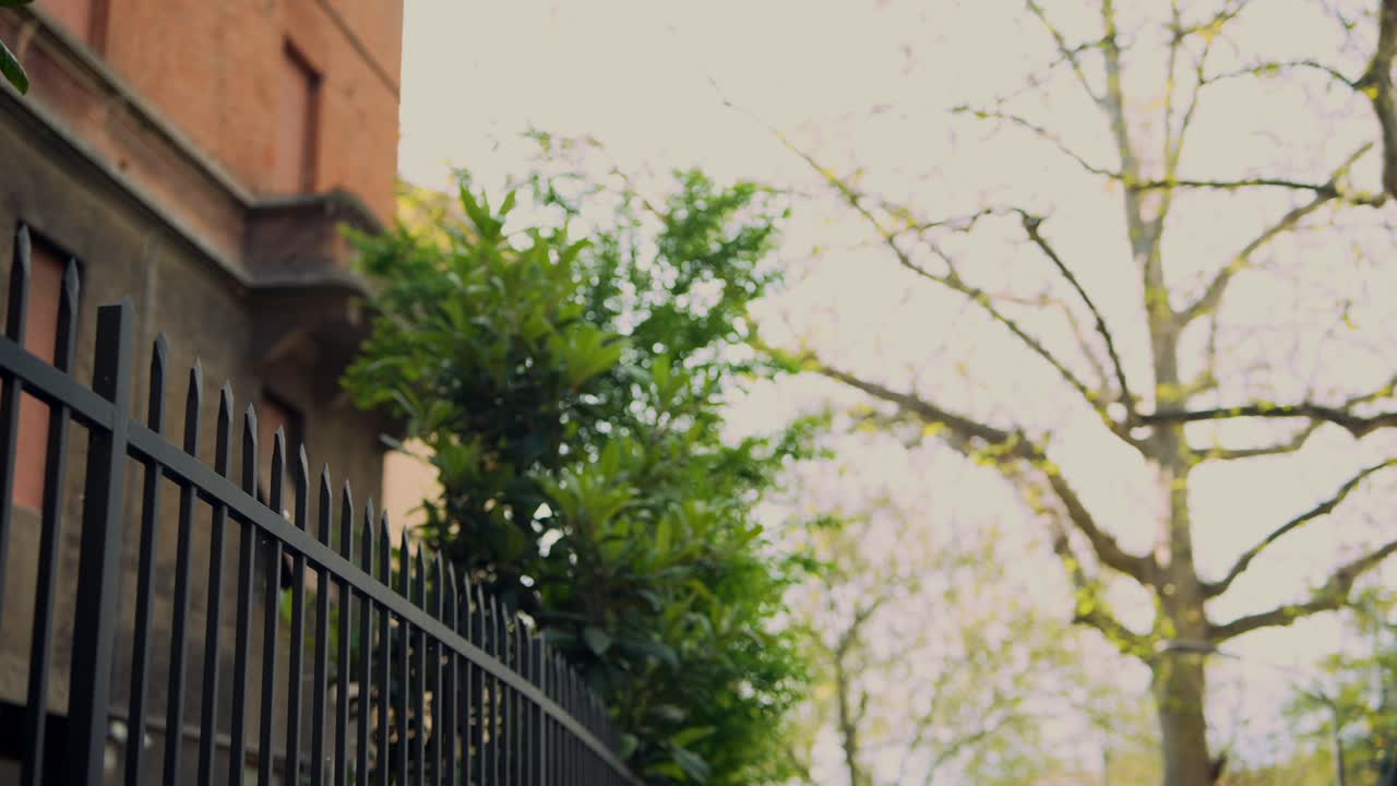 City Street Scene with Fence and Plants