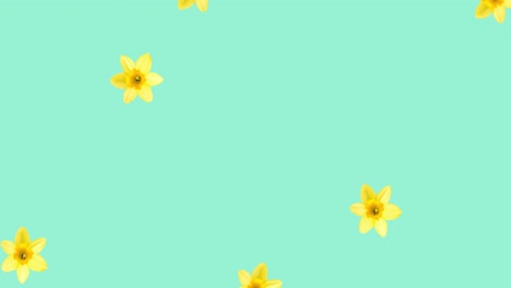 Animation-of-yellow-flowers-on-blue-background