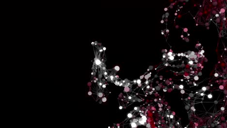 crecimiento de la red molecular.