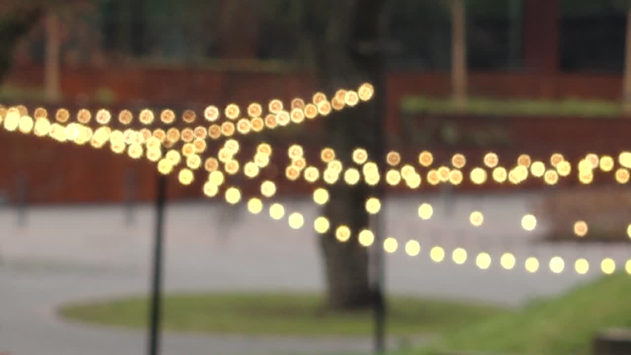 un conjunto de lámparas ara led suspendidas en cables, que emiten un brillo suave y moderno. una pantalla de iluminación minimalista y elegante para espacios contemporáneos.