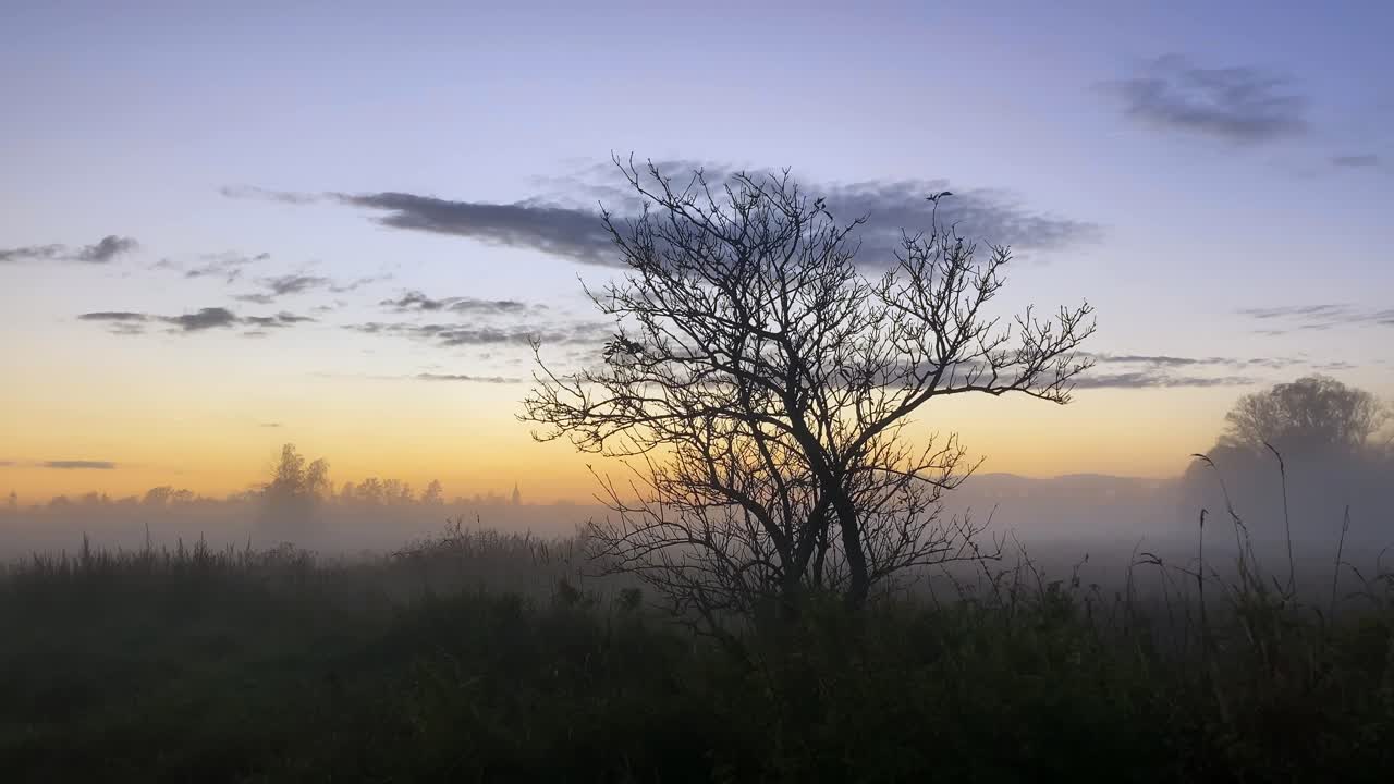puesta de sol atmosférica en un prado cubierto de niebla