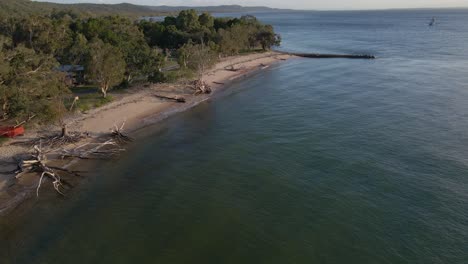 Amity-Point-Beach-Mit-Umgestürztem-Baumstamm-Und-Wurzeln---Amity-Point-Jetty-In-North-Stradbroke-Island,-Australien