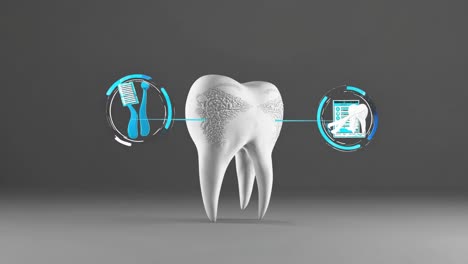 dental care and oral hygiene illustration