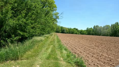 Looping-Video-Eines-Graspfads-Zwischen-Kürzlich-Bepflanzten-Feldern-Und-Gehölzen-Im-Mittleren-Westen-An-Einem-Sonnigen-Frühlingstag