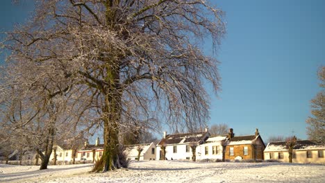 Walking-shot-towards-a-large-tree-with-no-leaves-and-little-snow-and-village-scene-in-the-background