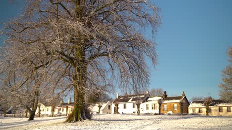 walking shot towards a large tree with no leaves and little snow and village scene in the background