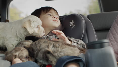 los niños y los cachorros viajan en el asiento trasero de un coche