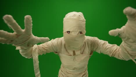 green screen isolated chroma key video capturing a mummy dancing and singing actively into the - green screen isolated chroma key video capturing a mummy dancing and singing actively into the microphone. haloween holidays. mock up, workspace for your promotion clip or advertisement