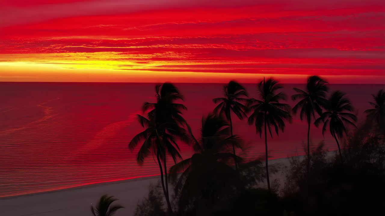 Vibrant Red and Orange Sunset Over Tropical Ocean with Palm Tree Silhouettes