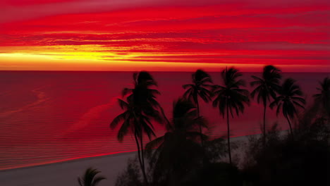 vibrant red and orange sunset over tropical ocean with palm tree silhouettes