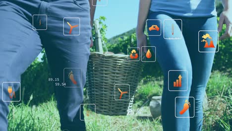 animación de iconos de ecología sobre pareja caucásica caminando con una canasta