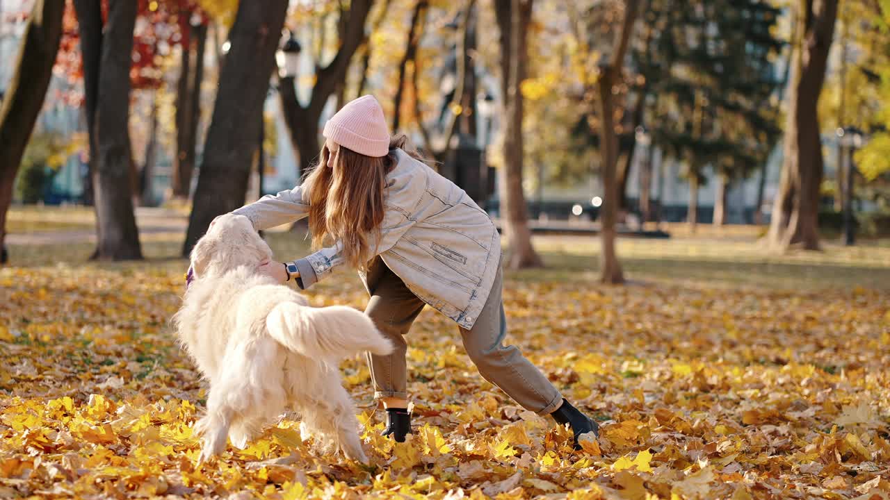 caminar feliz con mascota. joven dama positiva jugando con su perro en el parque de otoño, riendo, caminando en fines de semana cálidos