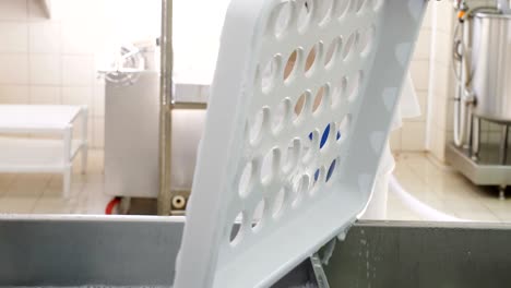 el hombre del diario limpia el molde del queso - fábrica de queso del diario