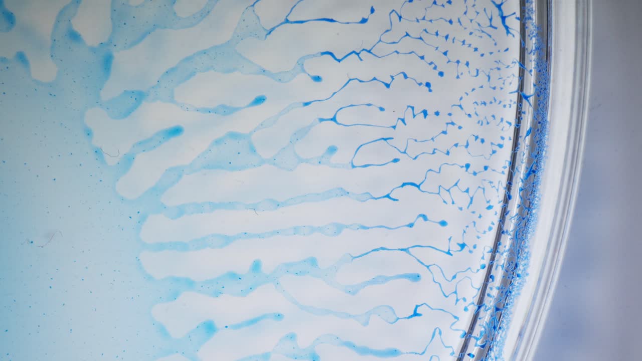 Alcoholic ink spreading in petri dish, abstract macro view with blue flowing lines