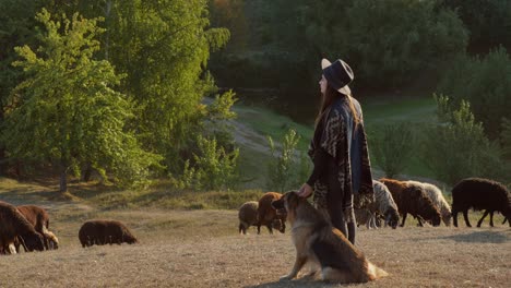 woman with dog watching sheep in a field