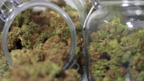 tiro de muñeca de flores de cannabis cosechadas en frascos frente a un fondo blanco