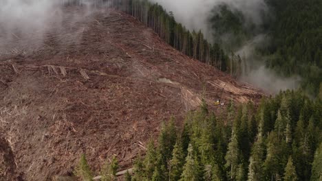 a fresh clearcut with logging equipment on vancouver island, british columbia