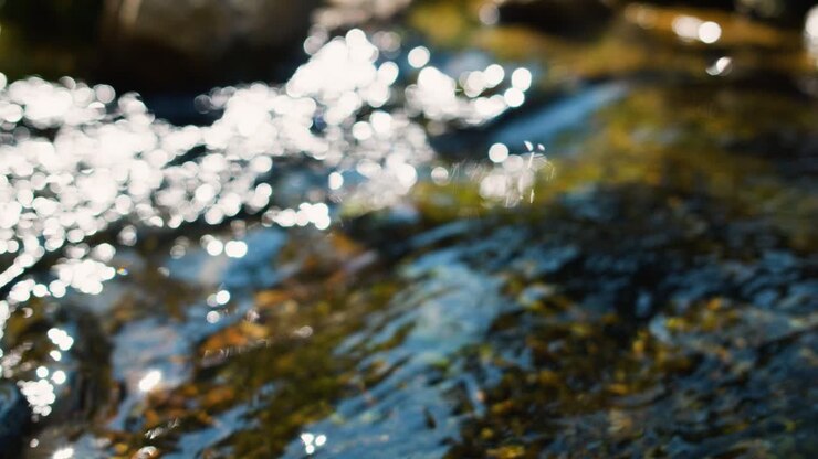Ruscello scintillante: Primo piano di acqua limpida che scorre sulle rocce