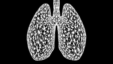 concept: lungs.