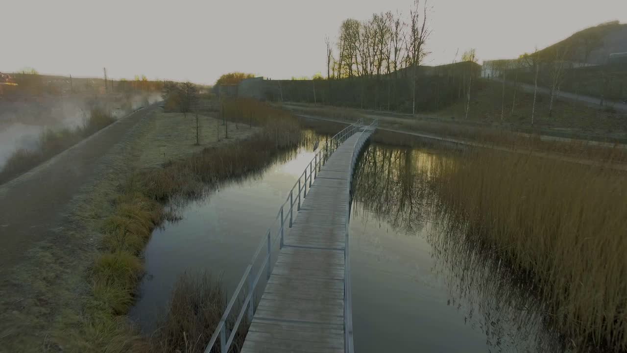 garza gris sentada en un puente y volando mientras la cámara se acerca en una mañana de invierno