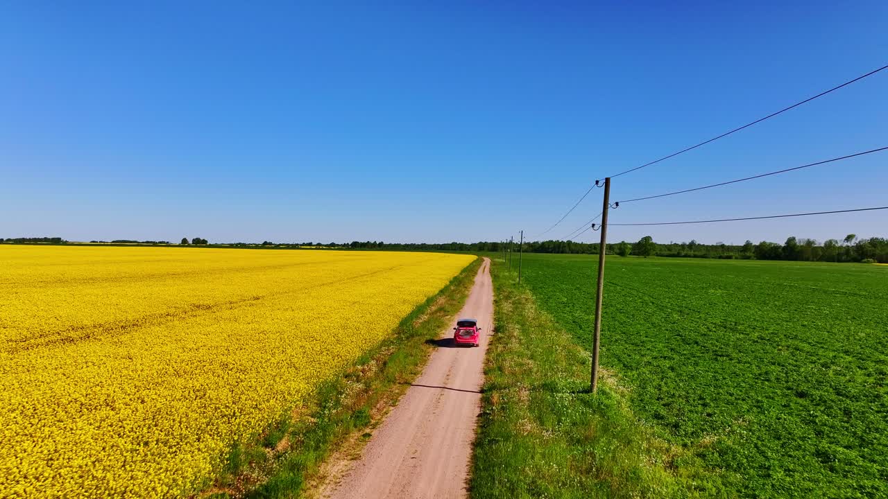 Aerial drone footage of a car driving in yellow rapeseed field in Latvia, spring