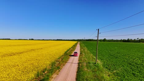 aerial drone footage of a car driving in yellow rapeseed field in latvia, spring