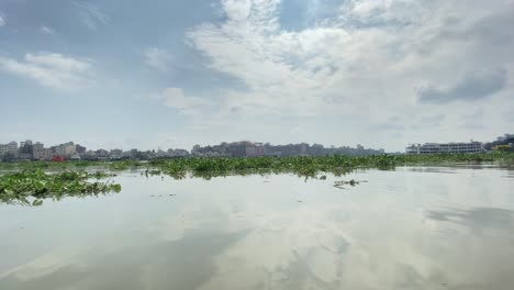 low shot of water hyacinth floating in the buriganga river with dhaka