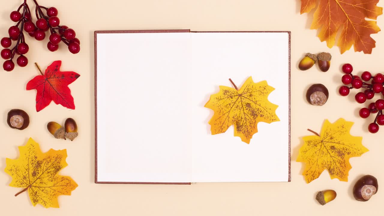 Høstdekorasjon med åpen bok og et gult blad som dukker opp på boken. Stop motion.