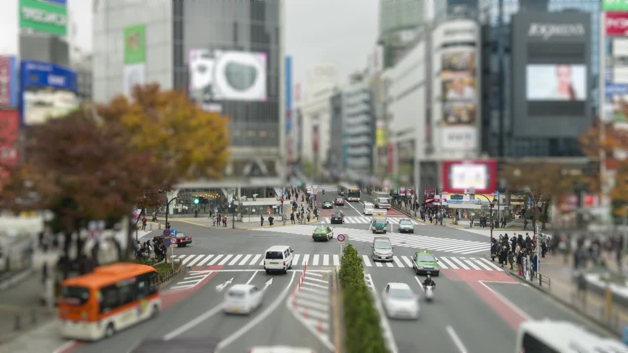 시부야 교차로에서 그린 스크린 타임 스