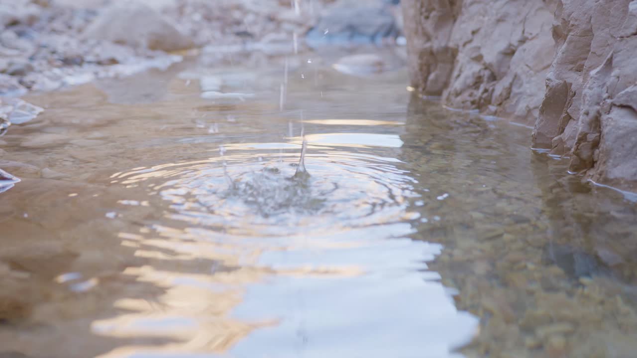 사막의 봄에 손을 씻다