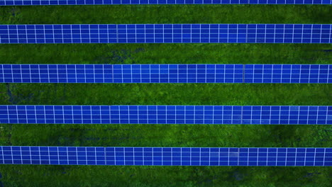 top view blue solar panels park. renewable energy sources. sustainable energy