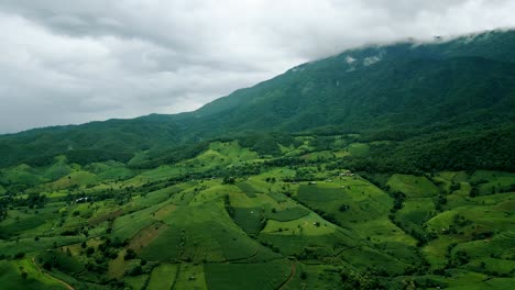 4K-Cinematic-nature-aerial-drone-footage-of-the-beautiful-mountains-and-rice-terraces-of-Ban-Pa-Pong-Piang-at-Doi-Ithanon-next-to-Chiang-Mai,-Thailand-on-a-cloudy-sunny-day