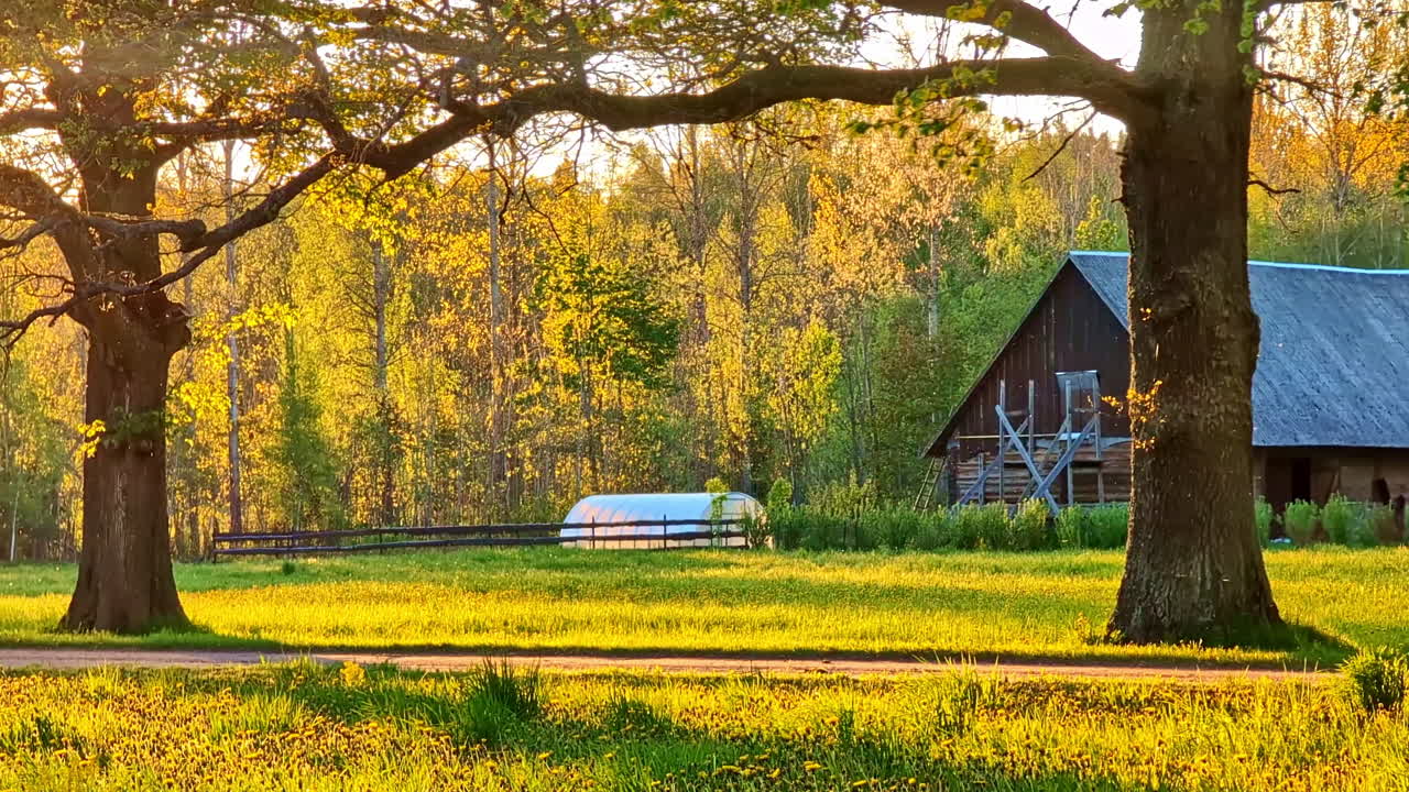 Rustic wooden barn and trees glowing in golden hour light on peaceful countryside