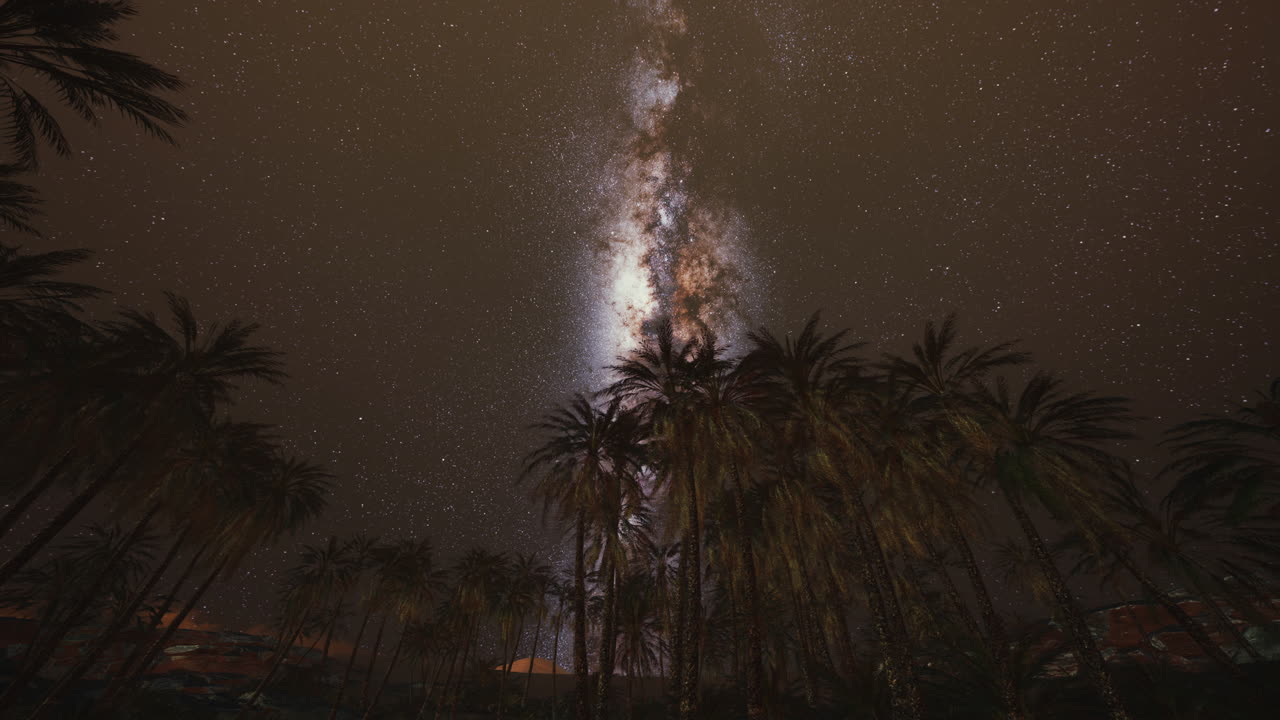 Milky Way over Desert Palm Oasis at Night