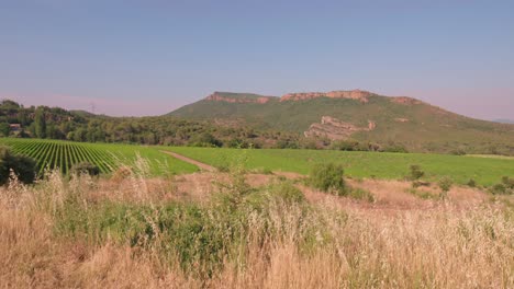 a wide shot pans right over a lush vineyard with rolling green fields and distant rocky hills under a clear blue sky, showcasing a serene rural landscape.