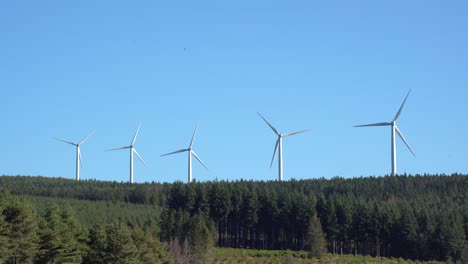 scenic view of wind turbines farm generating green energy over a forest in day time over the blue sky