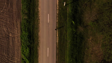 Aerial-Top-Down-View-of-Person-Running-Walking-Along-Empty-Rural-Road-in-Countryside-Surrounded-by-Fields,-Outdoor-Activity-and-Exercise