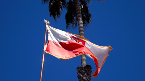 video of polish flag in 4k