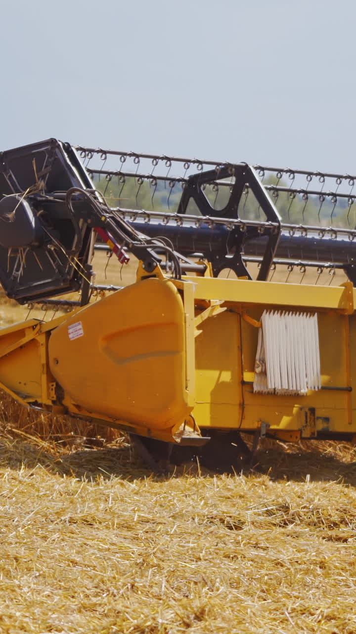 Rural landscape. Harvester in the process of harvesting grain crops. Wheat ripened. Harvest of cereals, crop, field, plant, gather. Selective focus. Video from the side Vertical video