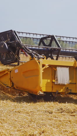rural landscape. harvester in the process of harvesting grain crops. wheat ripened. harvest of cereals, crop, field, plant, gather. selective focus. video from the side vertical video