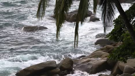 waves crashing on a rocky tropical coastline with palm fronds